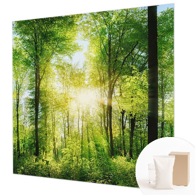 Fototapeta na stěnu Lesní harmonie