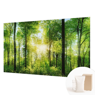 Fototapeta na stěnu Lesní harmonie