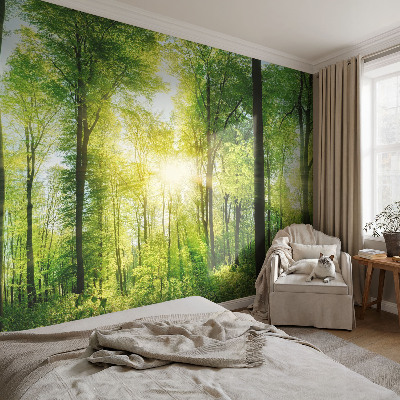 Fototapeta na stěnu Lesní harmonie