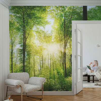 Fototapeta na stěnu Lesní harmonie