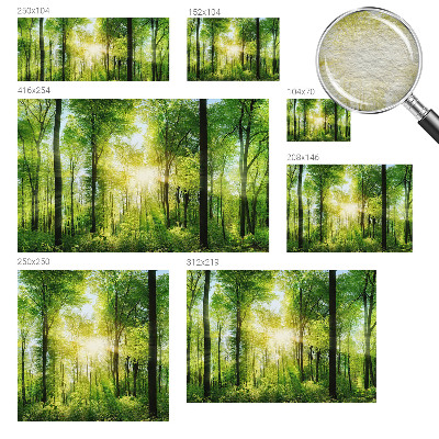 Fototapeta na stěnu Lesní harmonie
