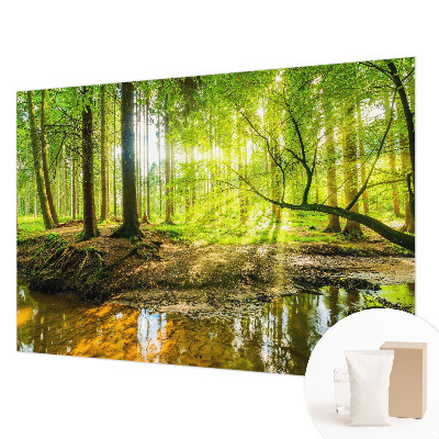 Fototapeta do ložnice Zelená krajina