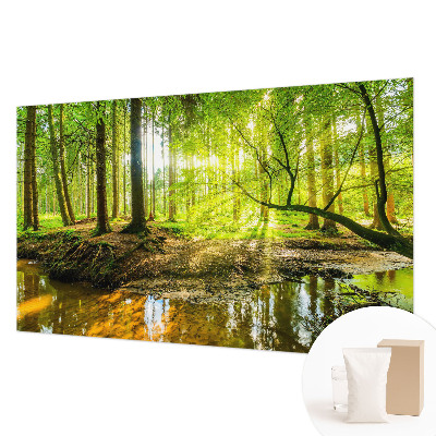 Fototapeta do ložnice Zelená krajina