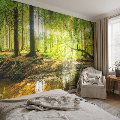 Fototapeta do ložnice Zelená krajina