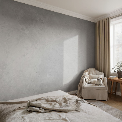 Dekorativní fototapeta na zeď Elegantní šedá