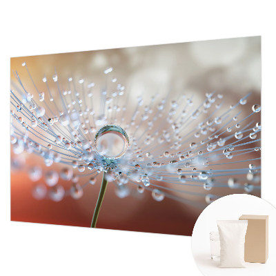 3D fototapeta Kapka na pampelišku