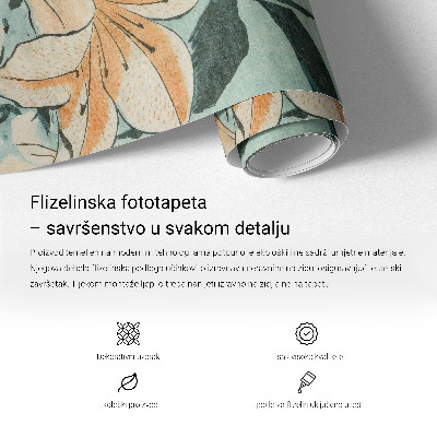 Fototapeta na zeď Jemné mraky