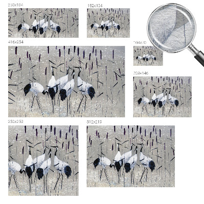 Vliesová fototapeta do ložnice Harmonické jeřáby