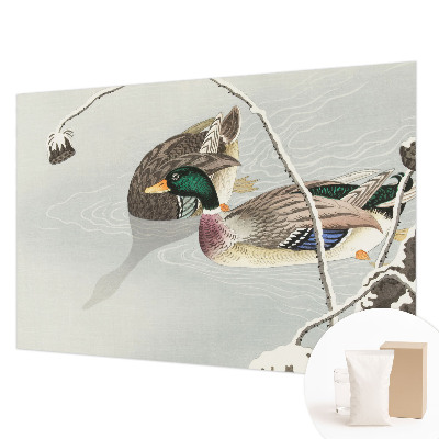 Fotografická tapeta vliesová Klidné kachny