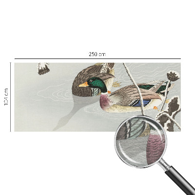 Fotografická tapeta vliesová Klidné kachny