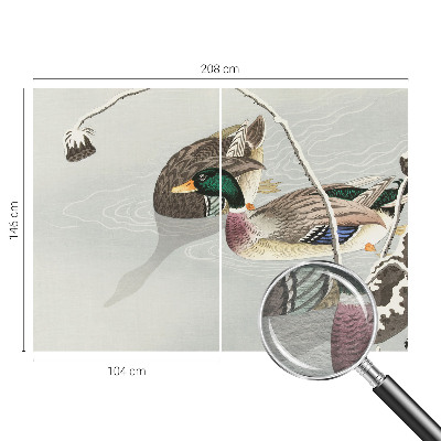 Fotografická tapeta vliesová Klidné kachny