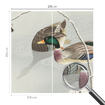 Fotografická tapeta vliesová Klidné kachny