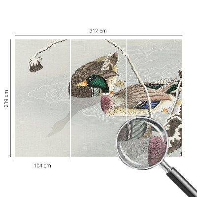 Fotografická tapeta vliesová Klidné kachny