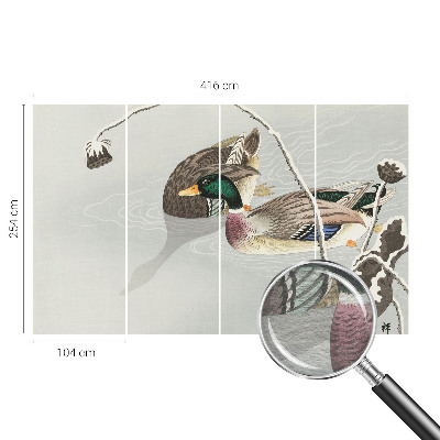 Fotografická tapeta vliesová Klidné kachny