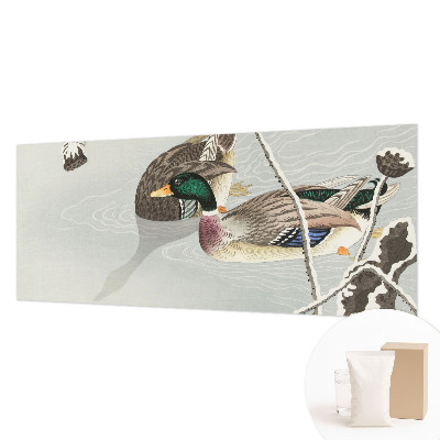 Fotografická tapeta vliesová Klidné kachny