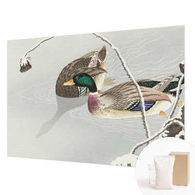 Fotografická tapeta vliesová Klidné kachny