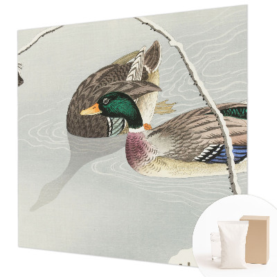 Fotografická tapeta vliesová Klidné kachny