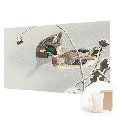 Fotografická tapeta vliesová Klidné kachny