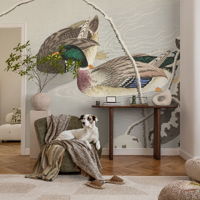 Fotografická tapeta vliesová Klidné kachny