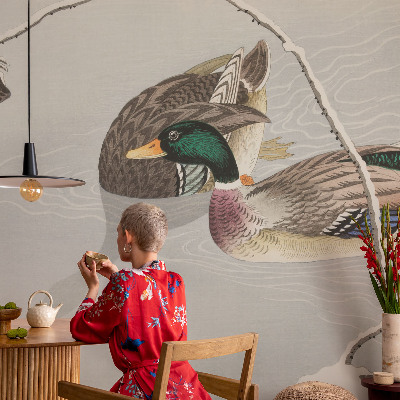 Fotografická tapeta vliesová Klidné kachny