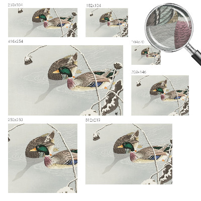 Fotografická tapeta vliesová Klidné kachny