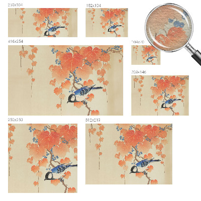 Fotografická tapeta na vliesu Harmonie vína