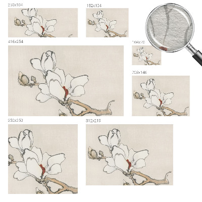 Fototapeta do obýváku Křehké magnólie