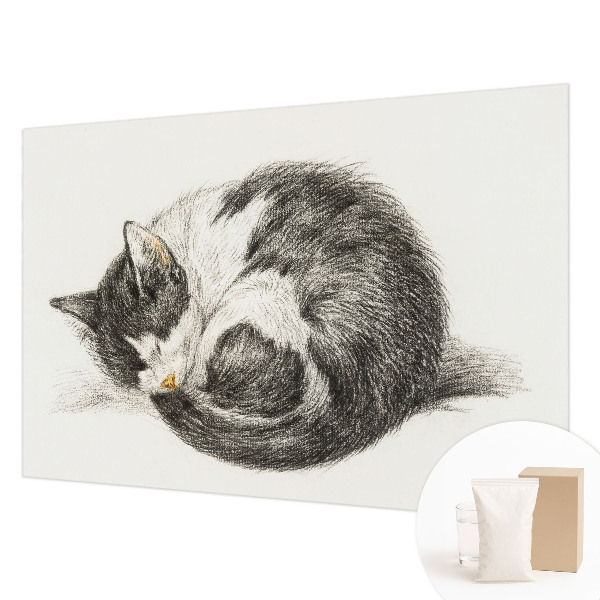 Vliesová fototapeta do obýváků Rozkošná kočička