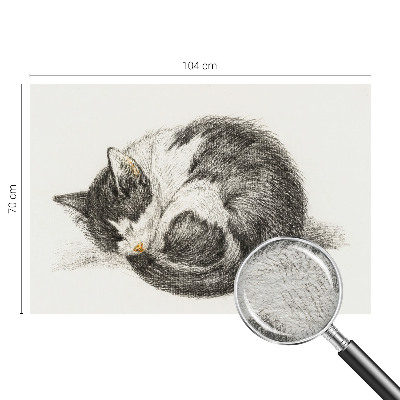 Vliesová fototapeta do obýváků Rozkošná kočička