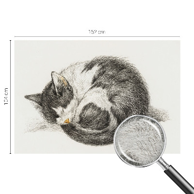 Vliesová fototapeta do obýváků Rozkošná kočička