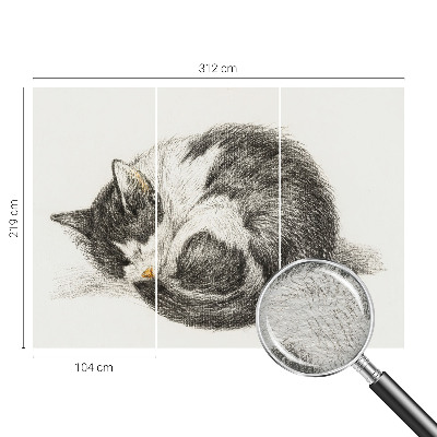 Vliesová fototapeta do obýváků Rozkošná kočička