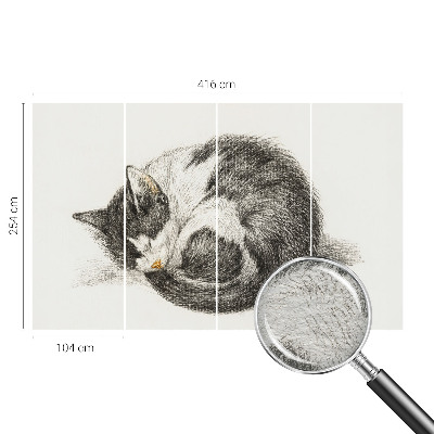 Vliesová fototapeta do obýváků Rozkošná kočička