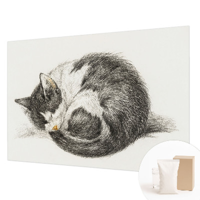 Vliesová fototapeta do obýváků Rozkošná kočička