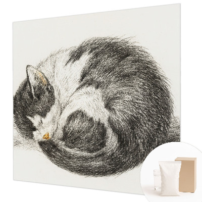 Vliesová fototapeta do obýváků Rozkošná kočička