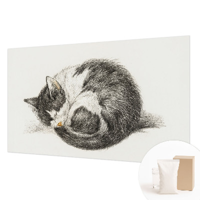 Vliesová fototapeta do obýváků Rozkošná kočička