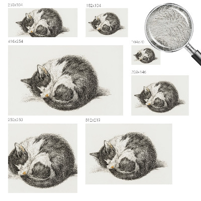 Vliesová fototapeta do obýváků Rozkošná kočička