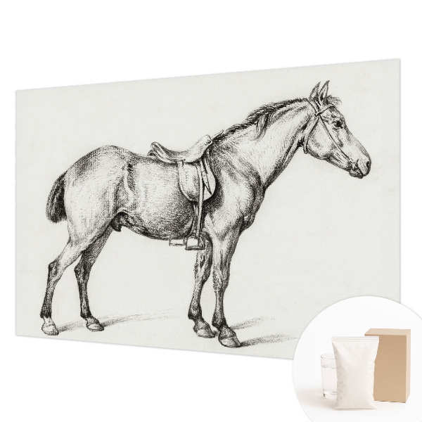 Vliesová fototapeta do ložnice Náčrt koně
