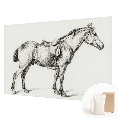 Vliesová fototapeta do ložnice Náčrt koně