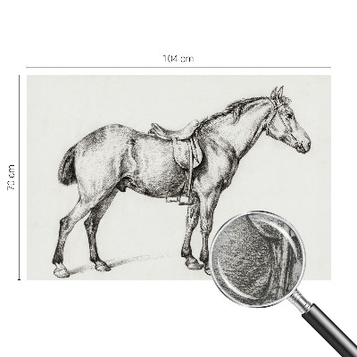 Vliesová fototapeta do ložnice Náčrt koně