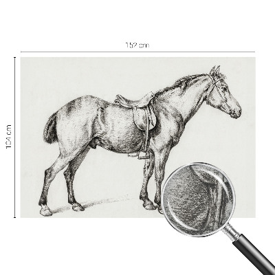 Vliesová fototapeta do ložnice Náčrt koně