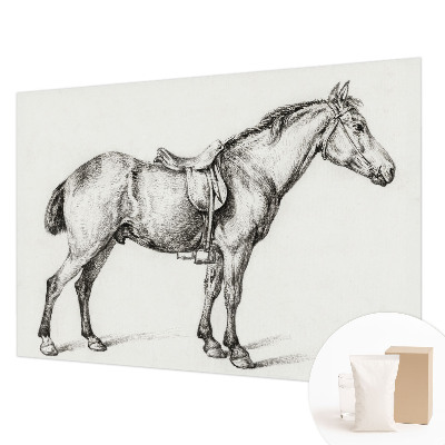 Vliesová fototapeta do ložnice Náčrt koně