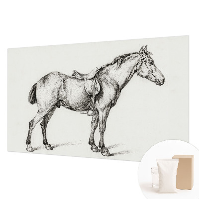 Vliesová fototapeta do ložnice Náčrt koně