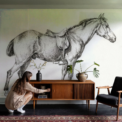 Vliesová fototapeta do ložnice Náčrt koně