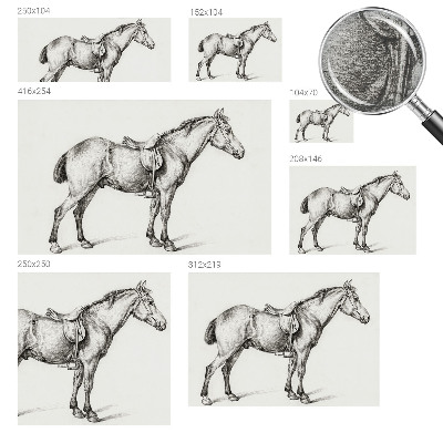 Vliesová fototapeta do ložnice Náčrt koně