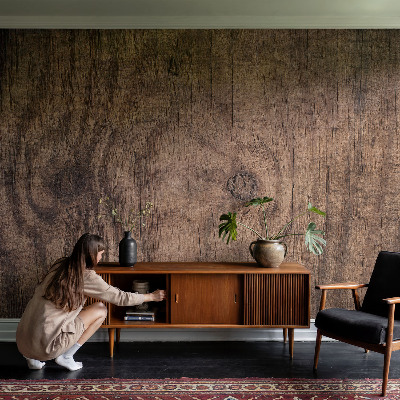 Dekorativní fototapeta na zeď Rustikální dřevo