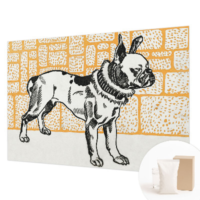 Fototapeta na míru do obýváku Retro pes