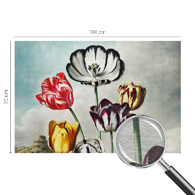 Fototapeta na zeď Barevné tulipány
