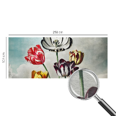 Fototapeta na zeď Barevné tulipány