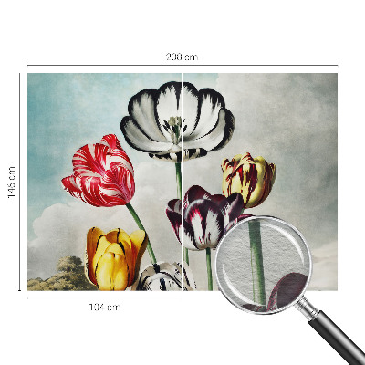 Fototapeta na zeď Barevné tulipány