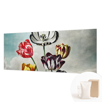 Fototapeta na zeď Barevné tulipány
